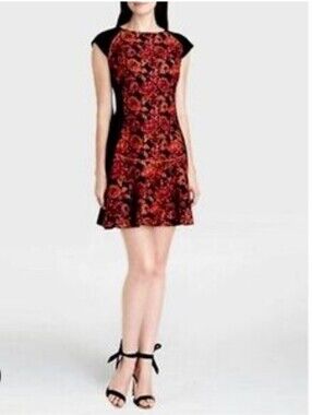 Ted Baker " Bonnyy" dress Sz XS
